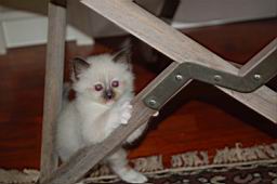 DSC_0213 copia.jpg